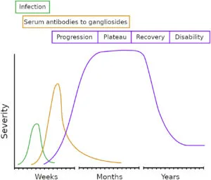 Recovery timeline of GBS